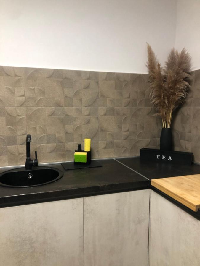 Studio Apartman Avenija *** Slavonski Brod Buitenkant foto